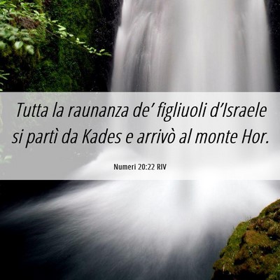 Picture 06 - Numeri 20:22 RIV - Tutta la raunanza de’ figliuoli d’Israele si - Bible Verse Picture