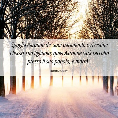 Picture 06 - Numeri 20:26 RIV - Spoglia Aaronne de’ suoi paramenti, e rivestine - Bible Verse Picture