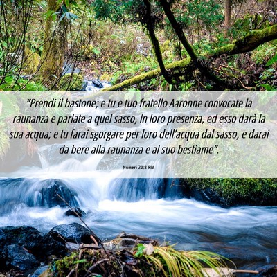 Picture 06 - Numeri 20:8 RIV - “Prendi il bastone; e tu e tuo fratello Aaronne - Bible Verse Picture