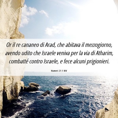 Picture 06 - Numeri 21:1 RIV - Or il re cananeo di Arad, che abitava il - Bible Verse Picture