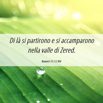 Picture 06 - Numeri 21:12 RIV - Di là si partirono e si accamparono nella valle - Bible Verse Picture