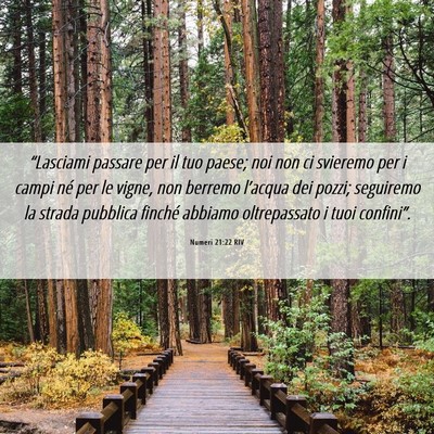 Picture 06 - Numeri 21:22 RIV - “Lasciami passare per il tuo paese; noi non ci - Bible Verse Picture