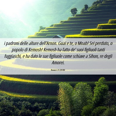 Picture 06 - Numeri 21:29 RIV - i padroni delle alture dell’Arnon. Guai e te, o - Bible Verse Picture