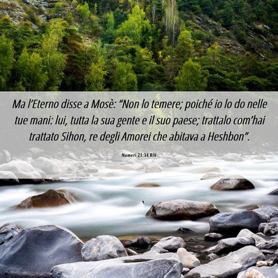 Picture 06 - Numeri 21:34 RIV - Ma l’Eterno disse a Mosè: “Non lo temere; - Bible Verse Picture