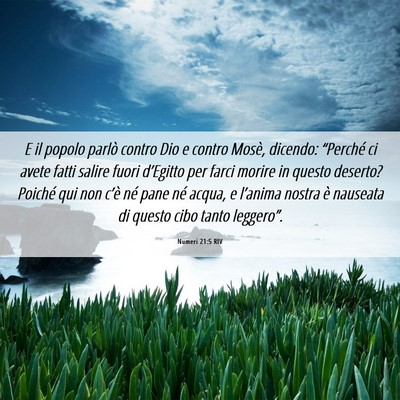 Picture 06 - Numeri 21:5 RIV - E il popolo parlò contro Dio e contro Mosè, - Bible Verse Picture
