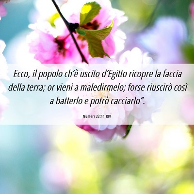 Picture 06 - Numeri 22:11 RIV - Ecco, il popolo ch’è uscito d’Egitto ricopre - Bible Verse Picture