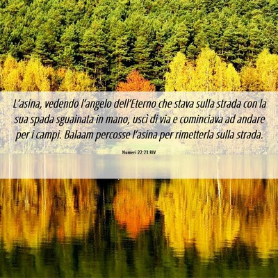 Picture 06 - Numeri 22:23 RIV - L’asina, vedendo l’angelo dell’Eterno che - Bible Verse Picture