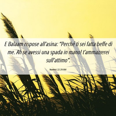 Picture 06 - Numeri 22:29 RIV - E Balaam rispose all’asina: “Perché ti sei - Bible Verse Picture