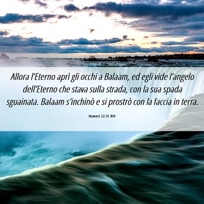 Picture 06 - Numeri 22:31 RIV - Allora l’Eterno aprì gli occhi a Balaam, ed - Bible Verse Picture