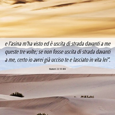Picture 06 - Numeri 22:33 RIV - e l’asina m’ha visto ed è uscita di strada - Bible Verse Picture