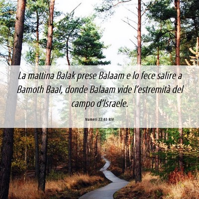 Picture 06 - Numeri 22:41 RIV - La mattina Balak prese Balaam e lo fece salire a - Bible Verse Picture