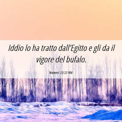 Picture 06 - Numeri 23:22 RIV - Iddio lo ha tratto dall’Egitto e gli da il - Bible Verse Picture