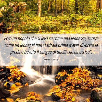 Picture 06 - Numeri 23:24 RIV - Ecco un popolo che si leva su come una leonessa, - Bible Verse Picture