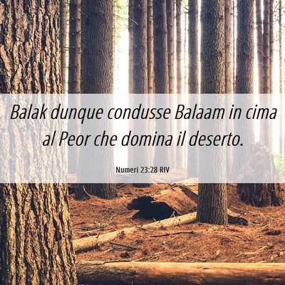 Picture 06 - Numeri 23:28 RIV - Balak dunque condusse Balaam in cima al Peor che - Bible Verse Picture