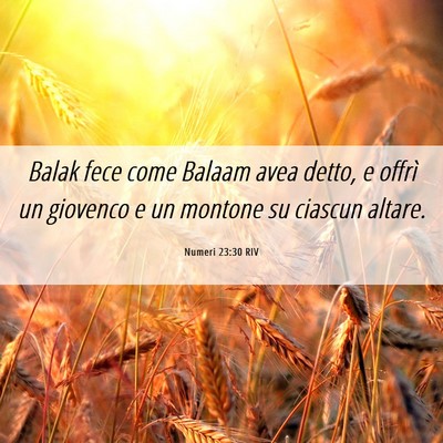 Picture 06 - Numeri 23:30 RIV - Balak fece come Balaam avea detto, e offrì un - Bible Verse Picture
