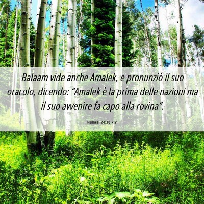 Picture 06 - Numeri 24:20 RIV - Balaam vide anche Amalek, e pronunziò il suo - Bible Verse Picture