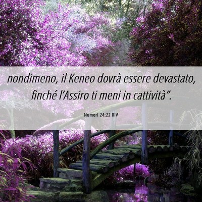 Picture 06 - Numeri 24:22 RIV - nondimeno, il Keneo dovrà essere devastato, - Bible Verse Picture