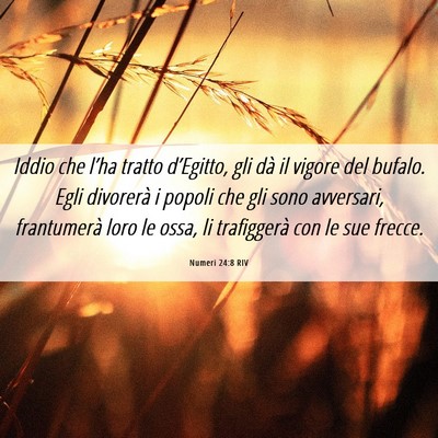 Picture 06 - Numeri 24:8 RIV - Iddio che l’ha tratto d’Egitto, gli dà il - Bible Verse Picture