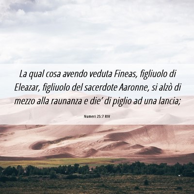 Picture 06 - Numeri 25:7 RIV - La qual cosa avendo veduta Fineas, figliuolo di - Bible Verse Picture