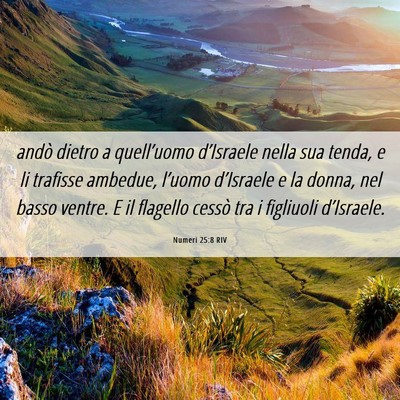 Picture 06 - Numeri 25:8 RIV - andò dietro a quell’uomo d’Israele nella sua - Bible Verse Picture