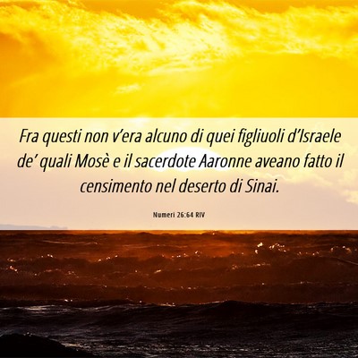 Picture 06 - Numeri 26:64 RIV - Fra questi non v’era alcuno di quei figliuoli - Bible Verse Picture