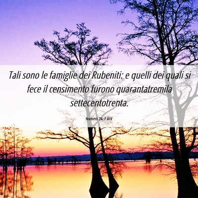 Picture 06 - Numeri 26:7 RIV - Tali sono le famiglie dei Rubeniti: e quelli dei - Bible Verse Picture