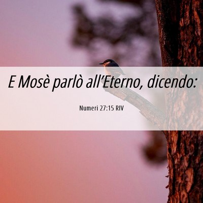 Picture 06 - Numeri 27:15 RIV - E Mosè parlò all’Eterno, - Bible Verse Picture