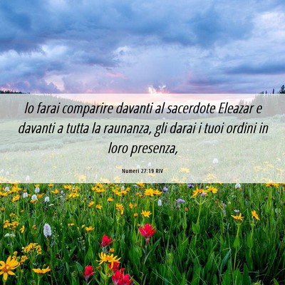 Picture 06 - Numeri 27:19 RIV - lo farai comparire davanti al sacerdote Eleazar e - Bible Verse Picture