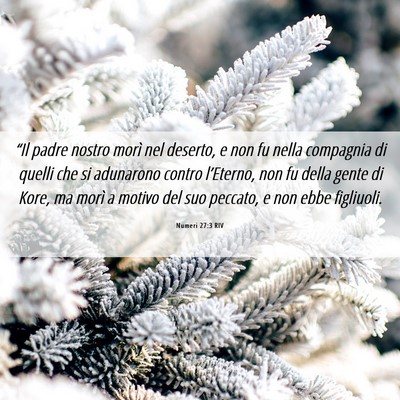 Picture 06 - Numeri 27:3 RIV - “Il padre nostro morì nel deserto, e non fu - Bible Verse Picture