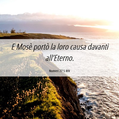 Picture 06 - Numeri 27:5 RIV - E Mosè portò la loro causa davanti - Bible Verse Picture