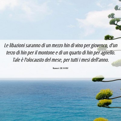 Picture 06 - Numeri 28:14 RIV - Le libazioni saranno di un mezzo hin di vino per - Bible Verse Picture