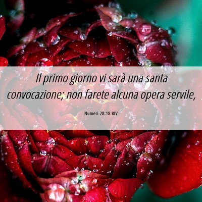 Picture 06 - Numeri 28:18 RIV - Il primo giorno vi sarà una santa convocazione; - Bible Verse Picture