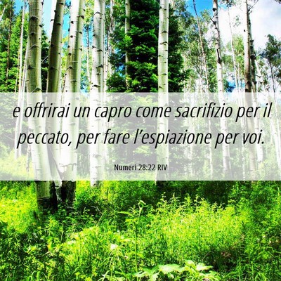 Picture 06 - Numeri 28:22 RIV - e offrirai un capro come sacrifizio per il - Bible Verse Picture