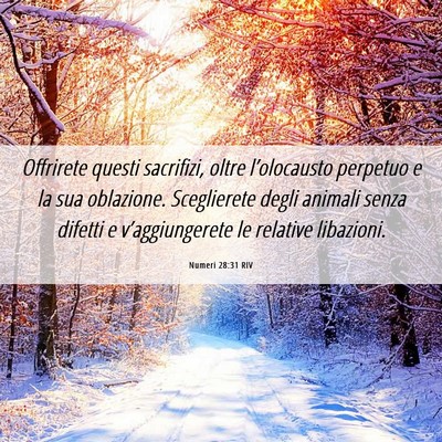 Picture 06 - Numeri 28:31 RIV - Offrirete questi sacrifizi, oltre l’olocausto - Bible Verse Picture