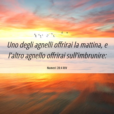 Picture 06 - Numeri 28:4 RIV - Uno degli agnelli offrirai la mattina, e - Bible Verse Picture