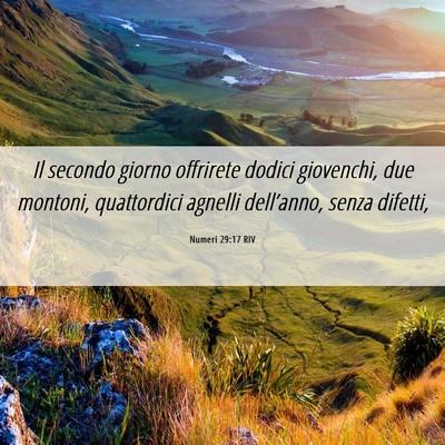 Picture 06 - Numeri 29:17 RIV - Il secondo giorno offrirete dodici giovenchi, due - Bible Verse Picture