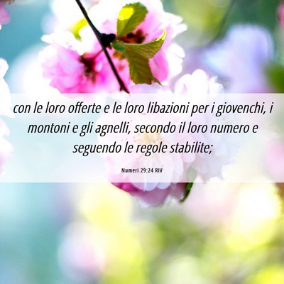 Picture 06 - Numeri 29:24 RIV - con le loro offerte e le loro libazioni per i - Bible Verse Picture