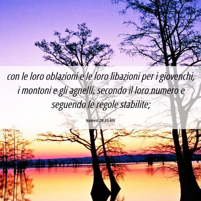 Picture 06 - Numeri 29:33 RIV - con le loro oblazioni e le loro libazioni per i - Bible Verse Picture
