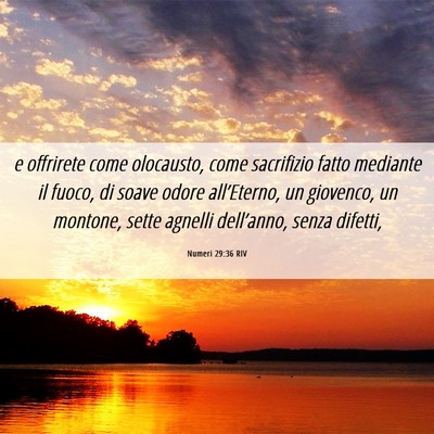 Picture 06 - Numeri 29:36 RIV - e offrirete come olocausto, come sacrifizio fatto - Bible Verse Picture