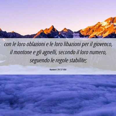 Picture 06 - Numeri 29:37 RIV - con le loro oblazioni e le loro libazioni per il - Bible Verse Picture