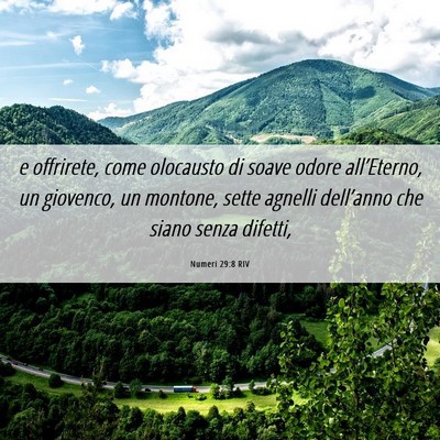 Picture 06 - Numeri 29:8 RIV - e offrirete, come olocausto di soave odore - Bible Verse Picture