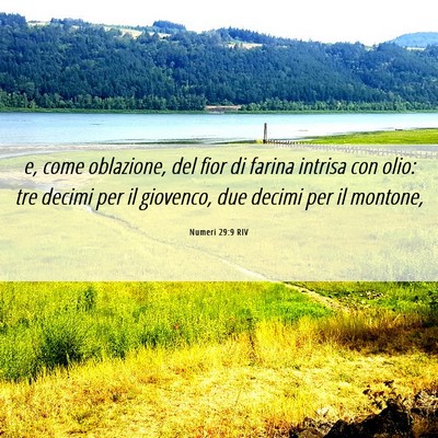 Picture 06 - Numeri 29:9 RIV - e, come oblazione, del fior di farina intrisa con - Bible Verse Picture