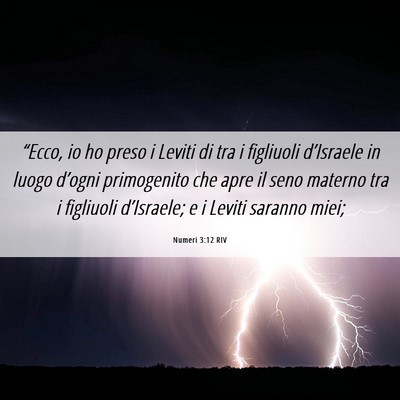 Picture 06 - Numeri 3:12 RIV - “Ecco, io ho preso i Leviti di tra i figliuoli - Bible Verse Picture