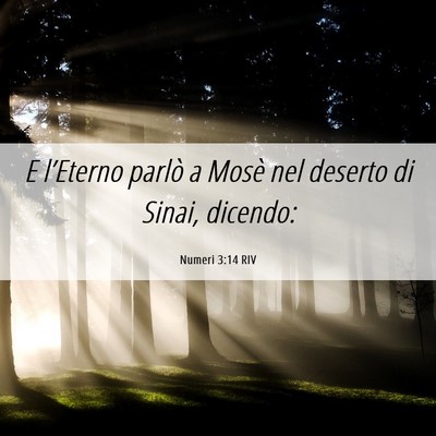 Picture 06 - Numeri 3:14 RIV - E l’Eterno parlò a Mosè nel deserto di Sinai, - Bible Verse Picture