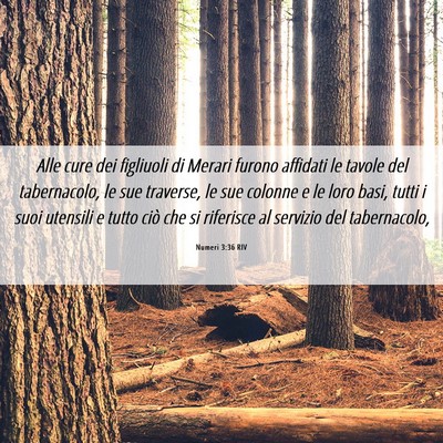 Picture 06 - Numeri 3:36 RIV - Alle cure dei figliuoli di Merari furono affidati - Bible Verse Picture