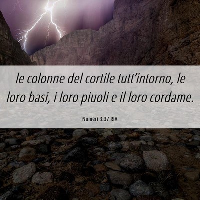 Picture 06 - Numeri 3:37 RIV - le colonne del cortile tutt’intorno, le loro - Bible Verse Picture