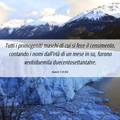 Picture 06 - Numeri 3:43 RIV - Tutti i primogeniti maschi di cui si fece il - Bible Verse Picture