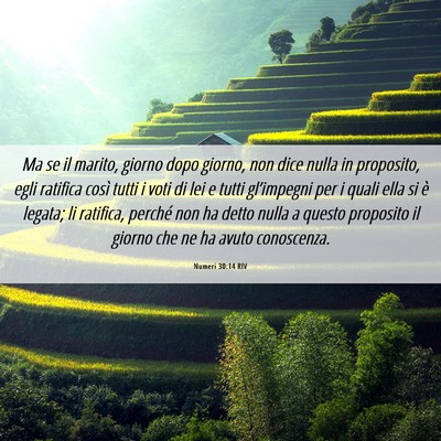 Picture 06 - Numeri 30:14 RIV - Ma se il marito, giorno dopo giorno, non dice - Bible Verse Picture