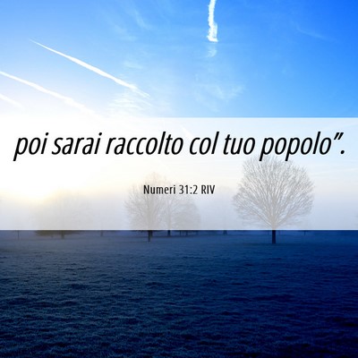 Picture 06 - Numeri 31:2 RIV - poi sarai raccolto col tuo - Bible Verse Picture