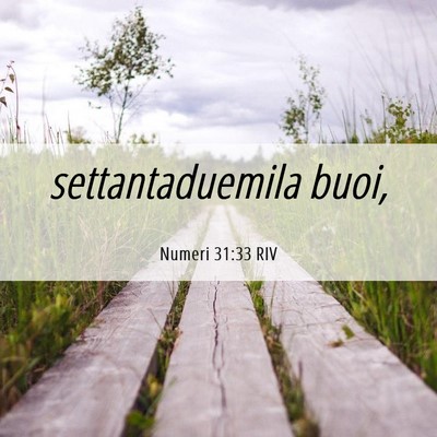 Picture 06 - Numeri 31:33 RIV - settantaduemila - Bible Verse Picture